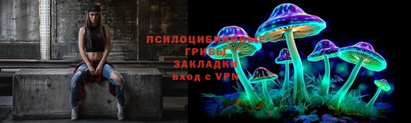 прущие грибы Верхний Тагил