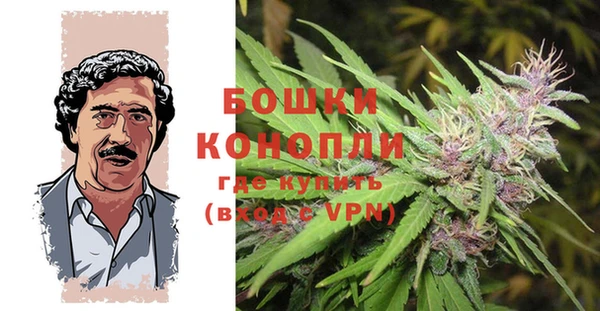 стаф Волосово