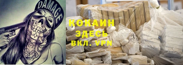 стаф Волосово