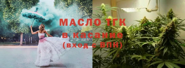 прущие грибы Верхний Тагил