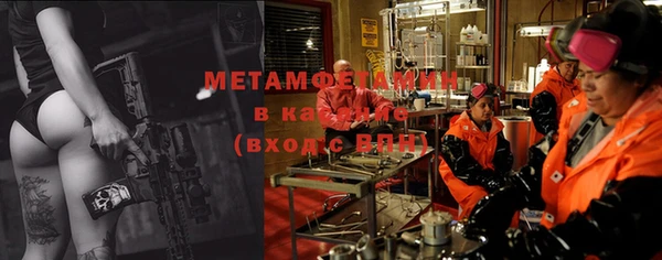 прущие грибы Верхний Тагил
