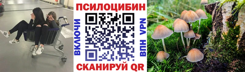 даркнет наркотические препараты  Воткинск  Галлюциногенные грибы прущие грибы 
